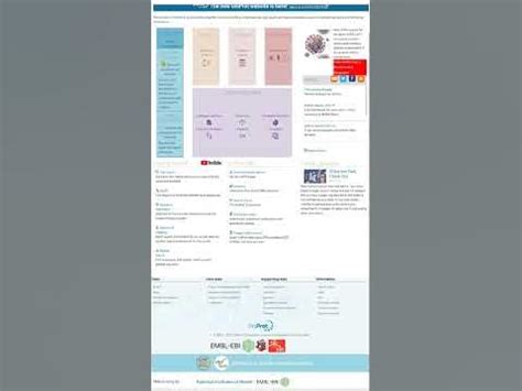 Image result for Alignement YouTube Pruftechnick Example