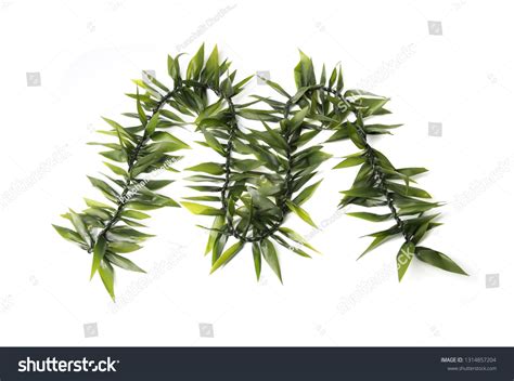 42 Hawaiian Maile Lei Images, Stock Photos & Vectors | Shutterstock