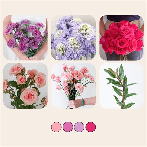 Red And Purple Mixed