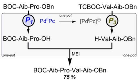 Synergy Effects in the Chemical Synthesis and Extensions of ...