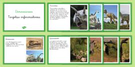 Tarjetas informativas: los dinosaurios (teacher made)