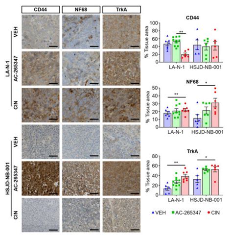 AC-265347 Inhibits Neuroblastoma Tumor Growth by Induction of ...