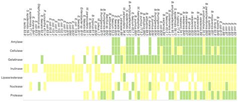 Analysis of Human Gut Microbiota Enzymes for Biotechnological and Food ...