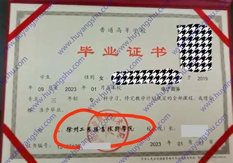 徐州工业职业技术学院毕业证样本-胡杨树样本网