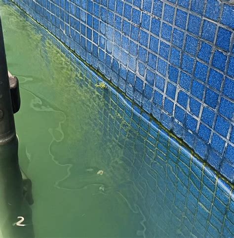 THE AMAYA RESORT (Uluberia) - Hotel Reviews, Photos, Rate Comparison ...