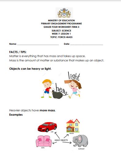 Science 4th Graders 的图像结果