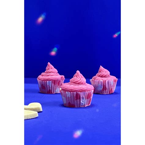 Mini Pupcakes – A Petter Life