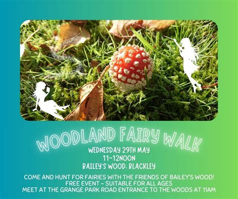 Woodland Fairy Walk, Friends of Bailey's Wood, Manchester, 29 May 2024 ...