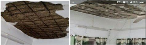 Petition · Investigate the Military Engineering Services for its ...