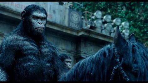 《猩球崛起2》首曝海报 惊现猩猩愤怒大特写-搜狐娱乐