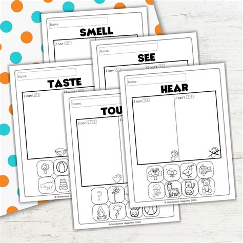 Free Homeschool Printables for Preschool to Grade 3