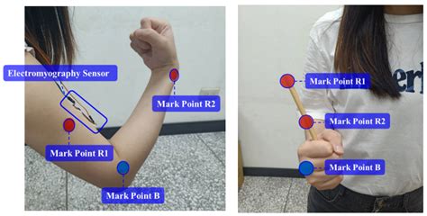 The Development of a System for Elbow Joint Range of Motion Measurement Based on Image ...