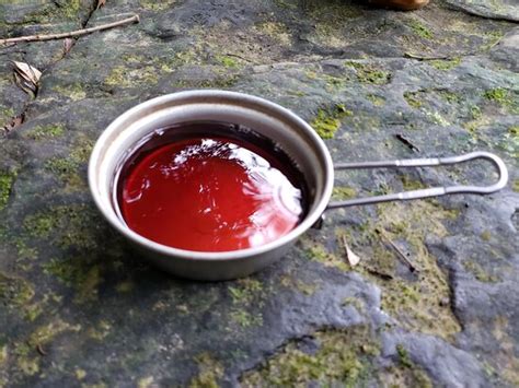 Bajau Trip Iriomote Field Service (Iriomote-jima) - 2021 What to Know ...