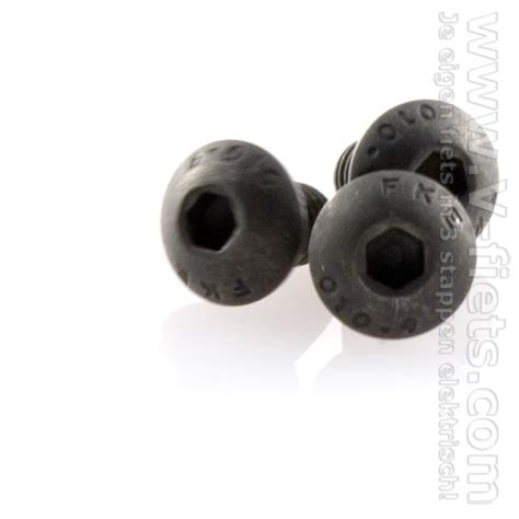 Disc brake bolt | V-fiets