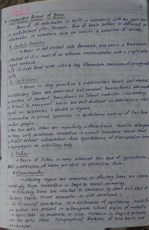 Core 10 Unit 1: Metabolism and Energy Transformation Insights - Studocu