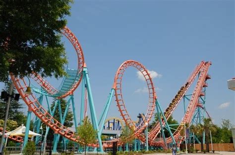 Image result for Access SQL Loop