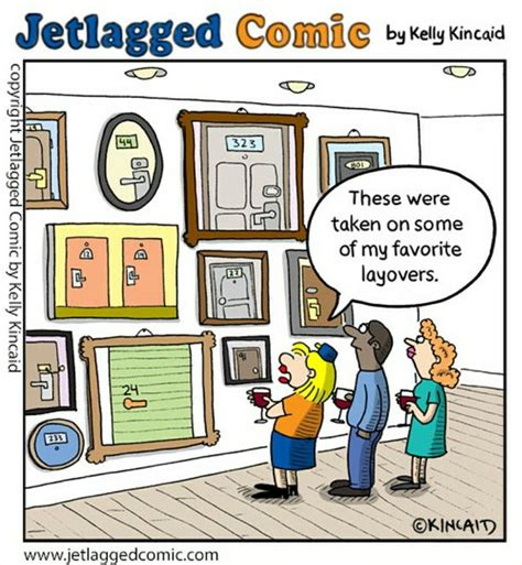 Best 12 Shocking Incident on United Airlines Flight: Dog’s Mess Causes ...