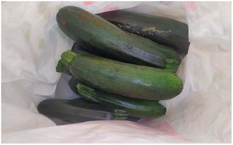 1H-NMR-Based Metabolomic Profiles of Zucchini (Cucurbita pepo L.) Grown ...