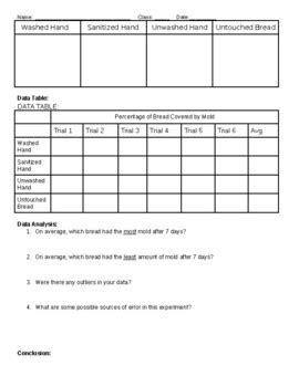 Image result for Hand Washing Experiment with Bread