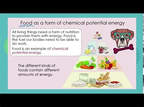 Chemical Potential Energy Examples 的图像结果