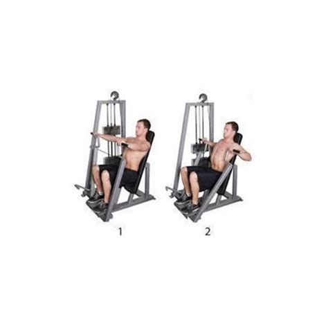 Chest Press Machine Exercise 的图像结果