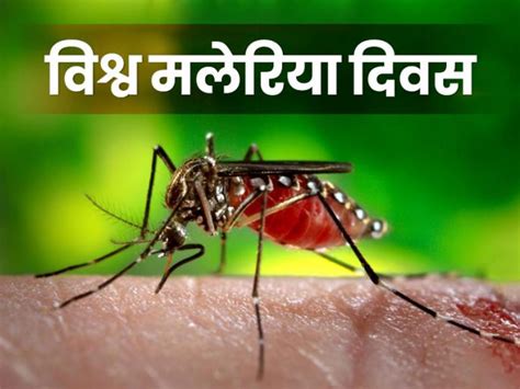 विश्व मलेरिया दिवस २०१९ थीम, वर्ल्ड मलेरिया डे २०१९, World Malaria Day ...