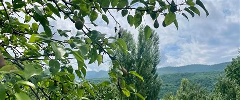 Qechresh Tourism (2024): Best of Qechresh, Azerbaijan - Tripadvisor