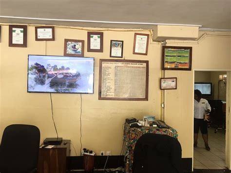 HIPPO HOUSE (Victoria Falls) - Guesthouse Reviews & Photos - Tripadvisor