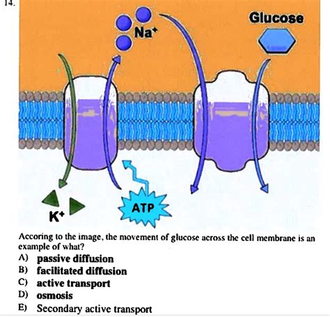Diffusion Process Examples 的图像结果