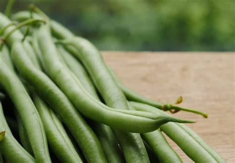 Free Will 的图像结果