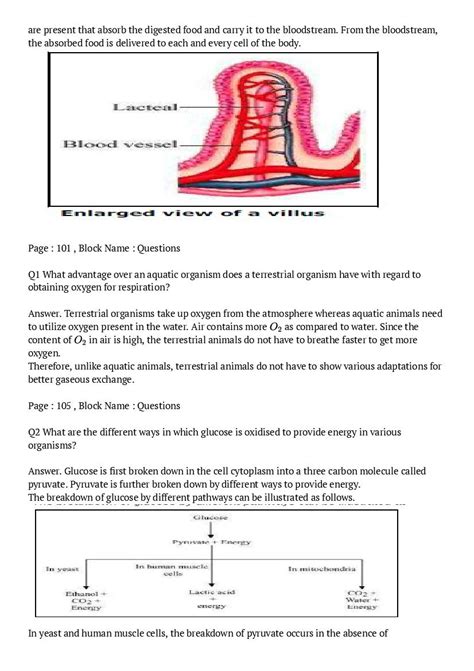 Image result for Class 10 Science Chapter 6 Notes