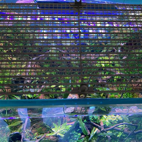 FELTECHELECTR Fish Tank Dividers Grid Tray Corner Aquarium Separator ...