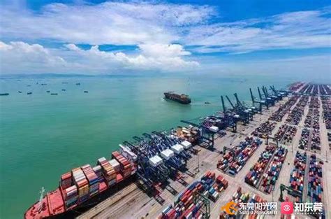 【视频】虎门港综保区上半年进出口货值同比增长1.7倍_东莞阳光网