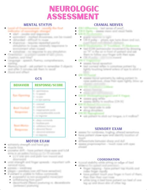 Neurologic Nursing Assessment - Etsy