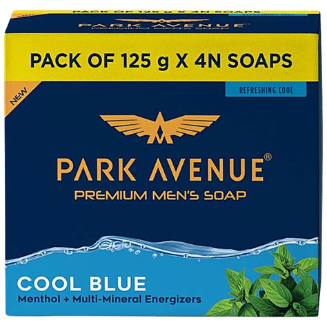 Buy Park Avenue Premium Men's Soap - Cool Blue, Menthol Multi-Mineral ...