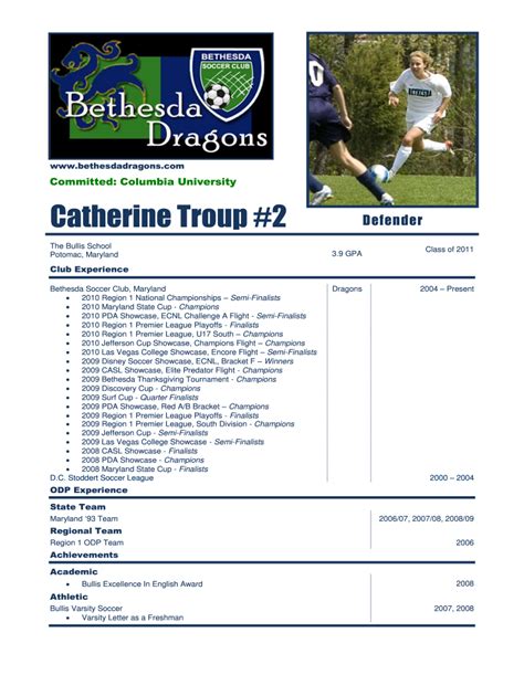 Player Profile Template - Fill Online, Printable, Fillable, Blank ...