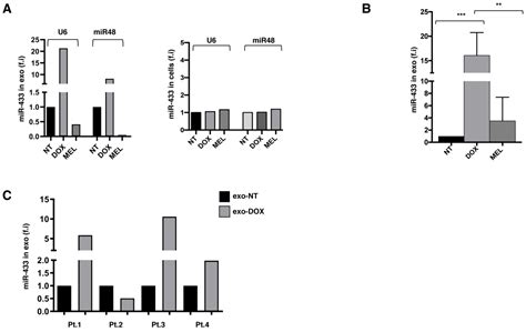 Doxorubicin–Mediated miR–433 Expression on Exosomes Promotes Bystander ...