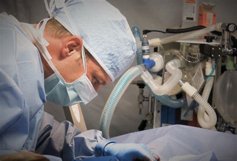 Hyperthyroidism in Dogs - Causes, Symptoms and Treatment