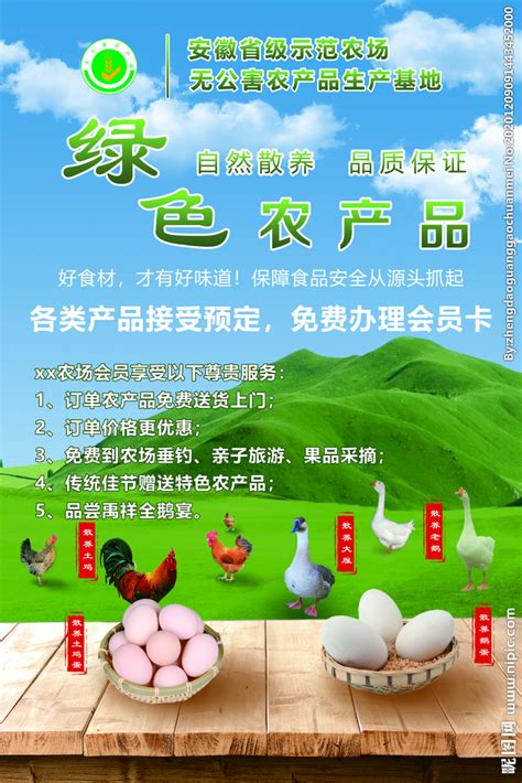 绿色农产品海报设计图__海报设计_广告设计_设计图库_昵图网nipic.com