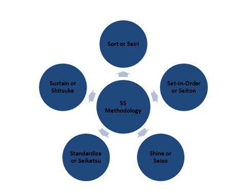 5S Tutorial 的图像结果