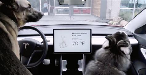 Tesla Rolls Out 'Dog Mode' To Keep Pets Safe And Comfortable - TFLcar