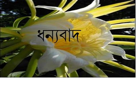 Image result for 8 Standard Science First First Lesson One Word