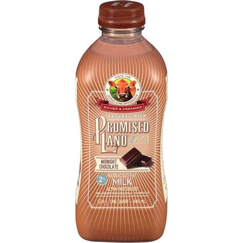 Promised Land 2% Reduced Fat Midnight Chocolate Milk (32 oz) Delivery ...