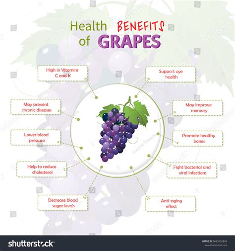 Moondrop Grapes Health Benefits at Oscar Godson blog