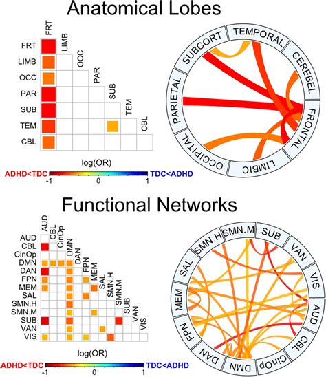 Topological Data Analysis Reveals Robust Alterations in the Whole-Brain ...