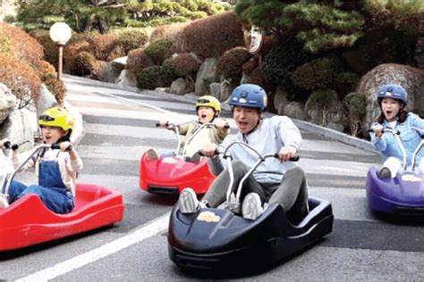 2024 (Seoul) Ganghwado Activity+Ginseng/Strawbessy Experience Day Tour