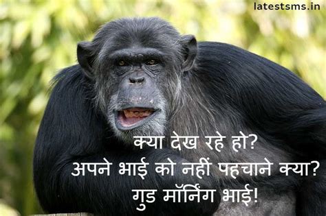 Funny Good Morning SMS Chutkule Memes In Hindi | latestsms.in