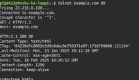 Image result for Telnet File Command