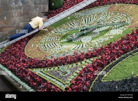 Floral Clocks - Floral Clock 40 Ft Diametre Manufacturer from Chennai