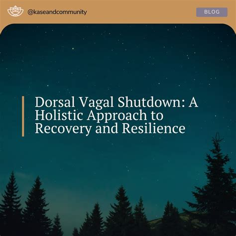 How to cope with dorsal vagal shutdown | Trauma Therapist Institute ...